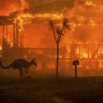 bushfires-giving-australia