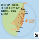 img-koala-triangle-map-infographic-FIRE