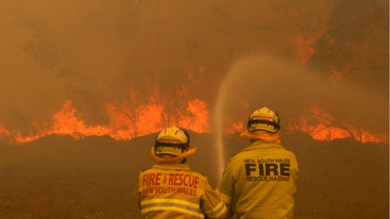 How the Greek community is assisting with bushfire relief