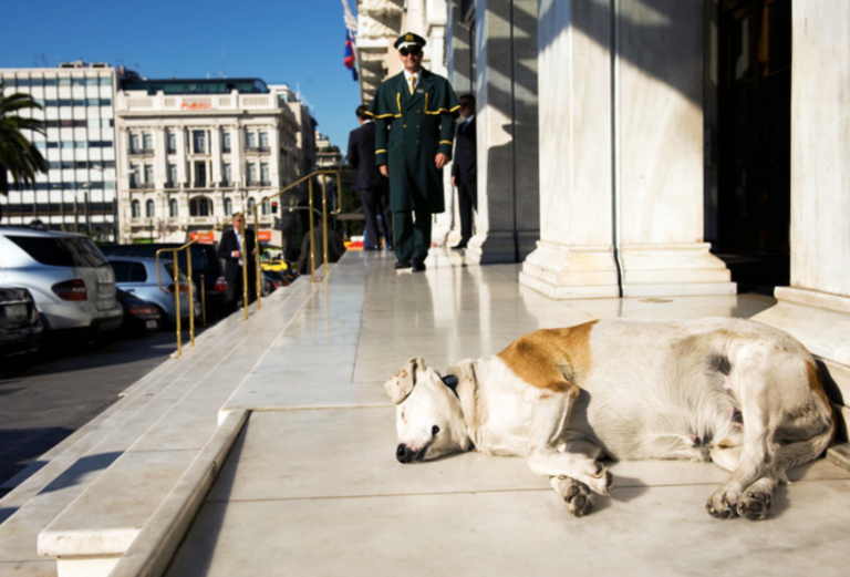 9 things about life in Greece that may seem weird to anyone who doesn’t live there