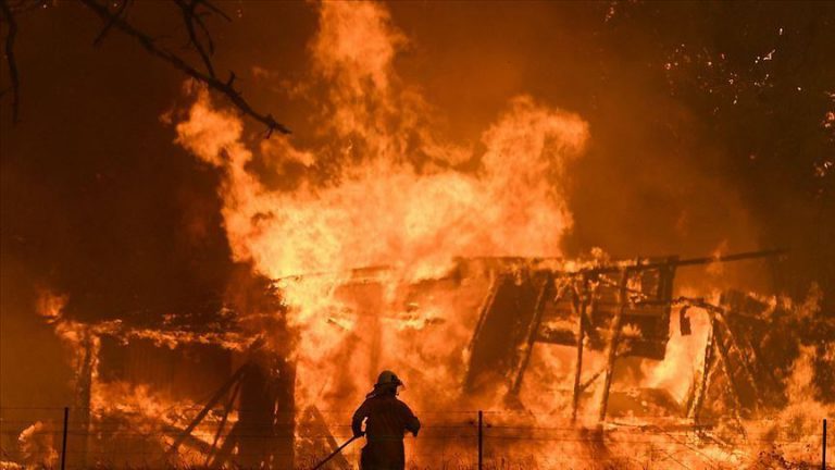 Government establish national Royal Commission into the Black Summer bushfires