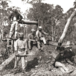 first greeks in australia