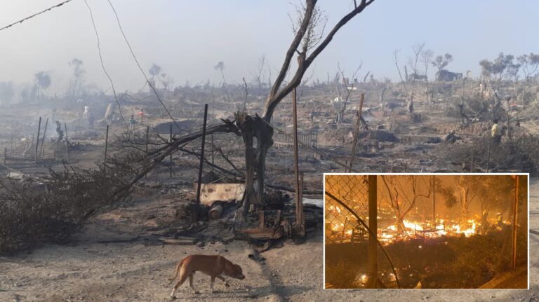 BREAKING: Moria ‘completely destroyed’ as fire tears through migrant camp