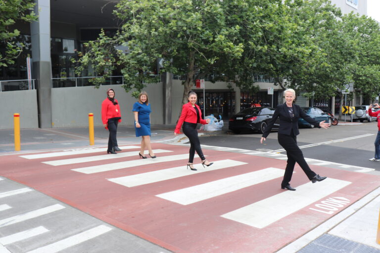 Sophie Cotsis MP welcomes installation of traffic calming and pedestrian safety devices