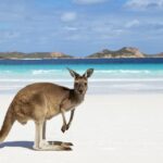 nieuwe-wandelroute-op-kangaroo-island-staat-nu-al-bekend-als-mooiste-van-australie-2039