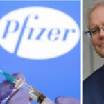 pfizer