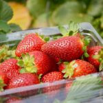 strawberries-5696336_960_720