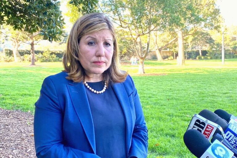 Sophie Cotsis: Berejiklian Government ignoring repeated warnings to defend against cyber attacks