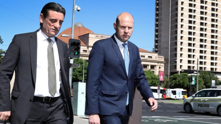 South Australian MP faces trial in June for allegedly assaulting fellow MP Connie Bonaros