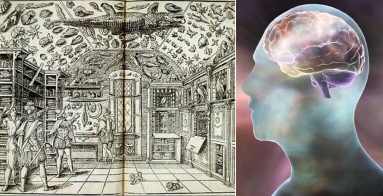 Australian researchers put ancient Greek ‘memory palace’ learning technique to the test