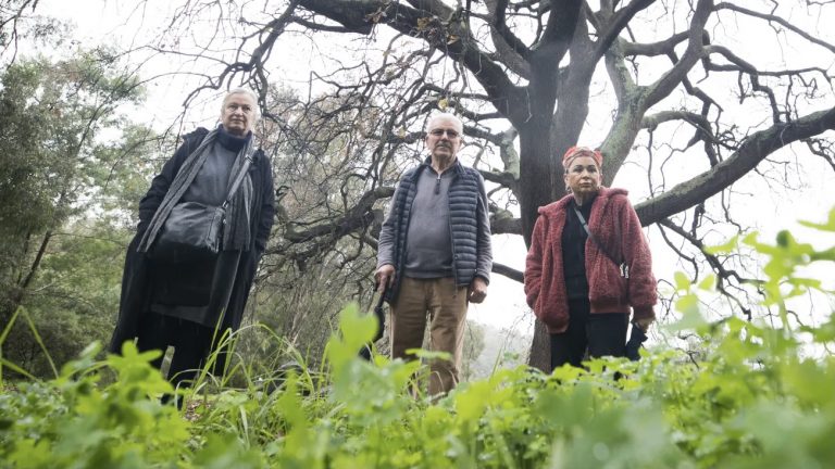 Elderly Greek migrants locked out of historic communal garden