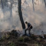 Ilias-Nikolakarakos-volunteer-puts-out-fires-in-resin-forest-Aug-10-Laila-Sieber