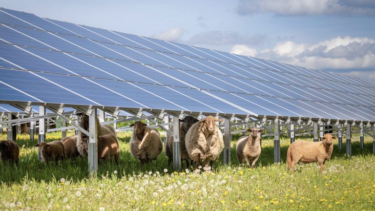 Mytilineos secures funding of solar power projects in NSW farms