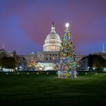 20201201_064319_2000w-Capitol-Christmas-Tree-2020-Colorado