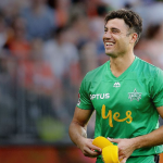 stoinis