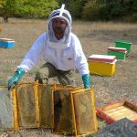 Beekeeper_honey_producer_farmer_Evia_Dimitris_Papapostolou_credit_Greek_Reporter_AP