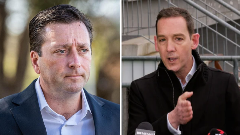 Steve Dimopoulos MP slams Victorian Coalition’s ambitious emissions pledge