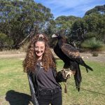 Holding-Wedge-Tailed-Eagle-on-Kangaroo-Island