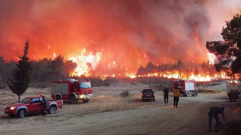 Greek firefighters in uphill battle to stop ‘ecological disaster’ at famed national park