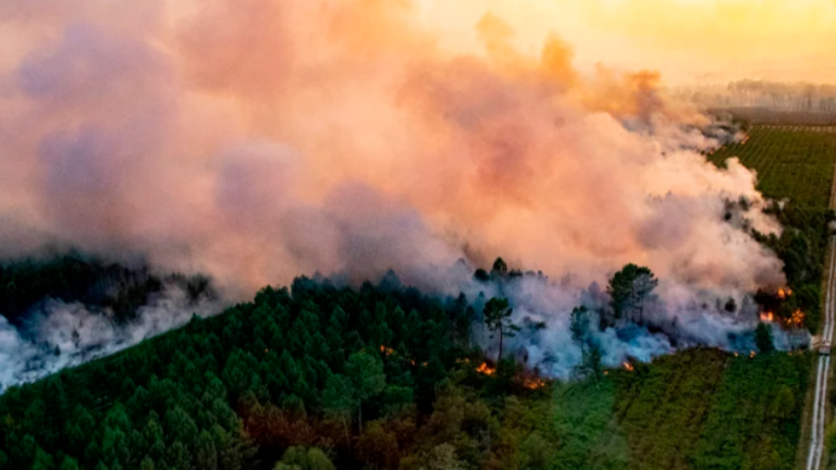 Thousands forced to flee as wildfires rage across Europe