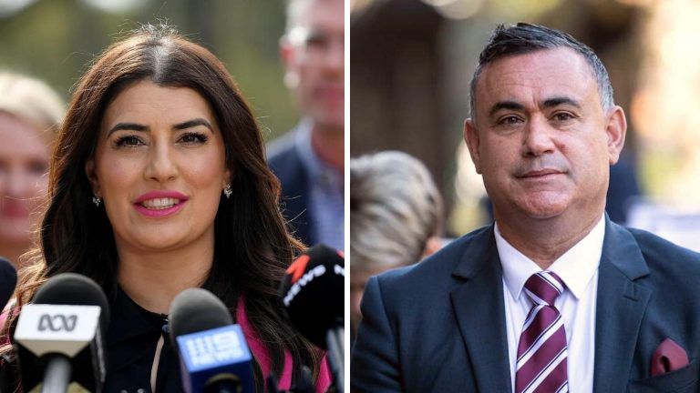Reports allege ex-NSW minister Eleni Petinos met with Barilaro-linked developer