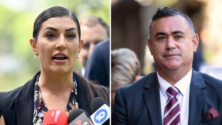 NSW building chief’s resignation letter reveals concerns about Eleni Petinos and John Barilaro