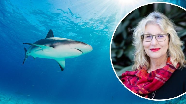 Waverley Mayor Paula Masselos calls to ditch shark nets from NSW beaches