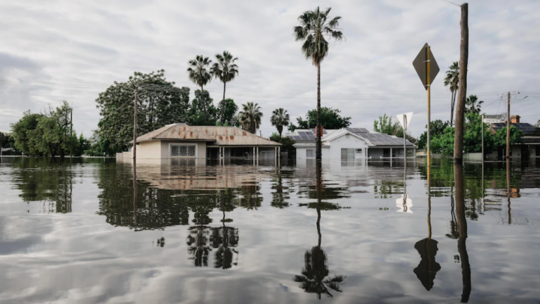 Largest flood emergency response in NSW history underway as clean up continues in SA and Victoria