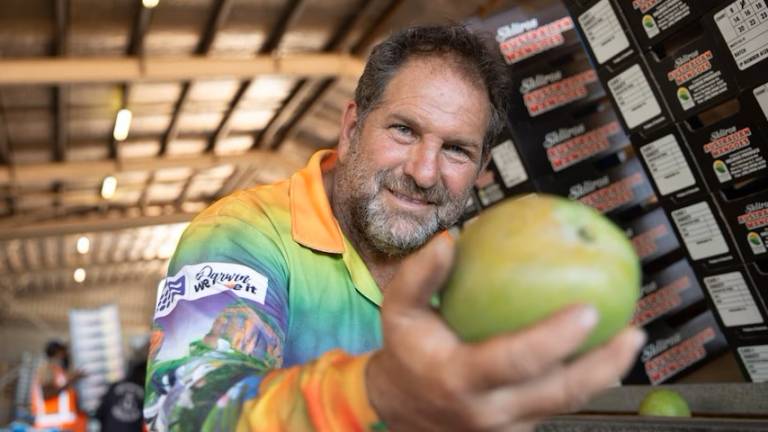 Leo Skliros on the challenges facing NT growers this mango season