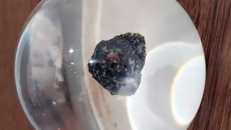 Rare Apollo mission moon rock returns to Cyprus after 50 years