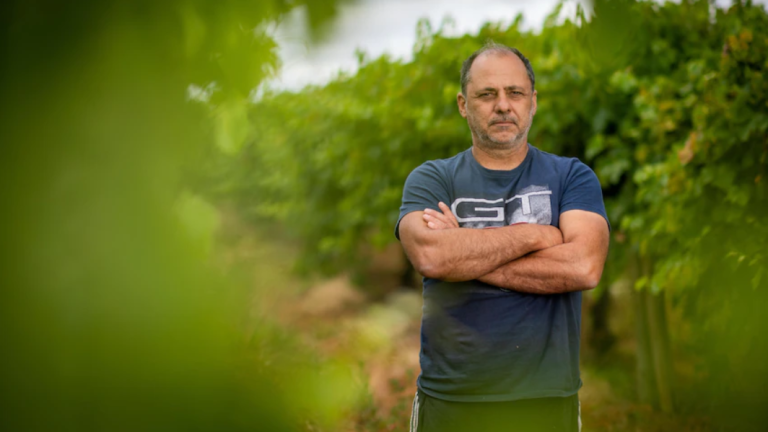 Flooding in SA’s Riverland region impacts grape grower Nontas Koutouzis