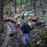 Nomadic herders of Greece