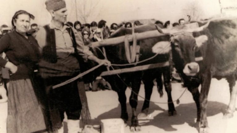 Carnivalesque customs of Thrace: The timeless value of satire practiced through rituals