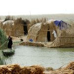 Lotek_0468_4