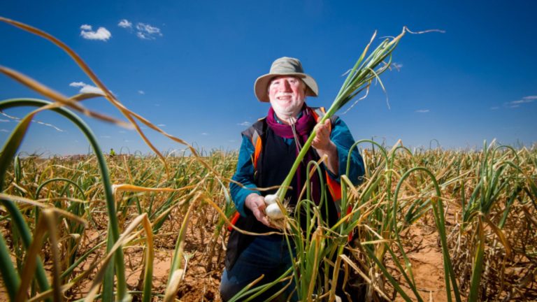 New research shows Australian garlic variety can fight COVID-19 and the flu