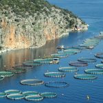 fish farming threatens paros island greece