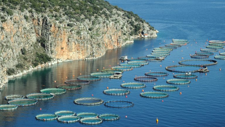 Residents protest against proposed fish farm that threatens Poros island