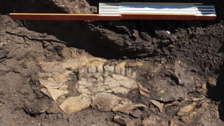 New discovery moves dawn of Greek archaeology back by a quarter million years