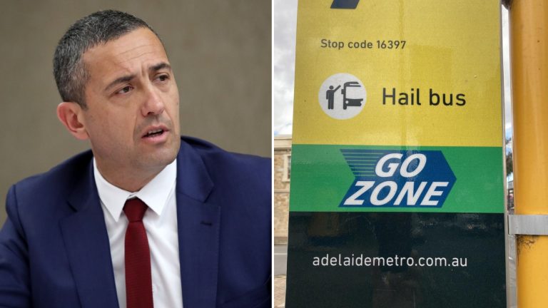 Tom Koutsantonis MP orders review into bus stop sign after complaint of ‘Nazism’