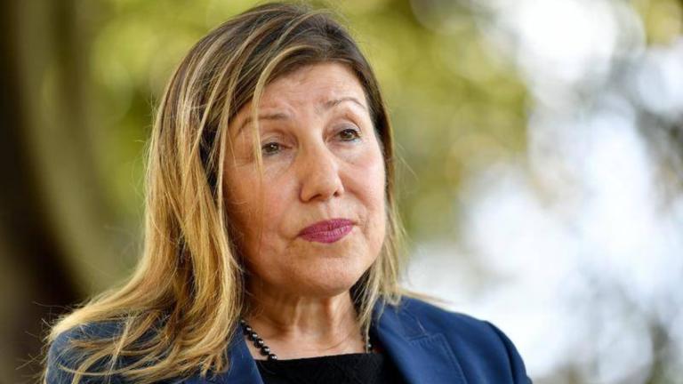 NSW Government issues largest fine over woodchipper death