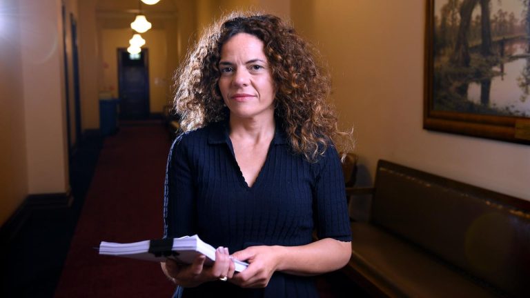 Connie Bonaros MLC pushes for tougher deepfake laws amid school bullying concerns