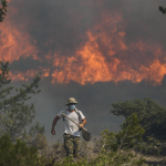 wildfires greece (4)