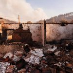 Dual investigation launched into the origins of the devastating fire in the northeastern Evros region. Photo: The West.