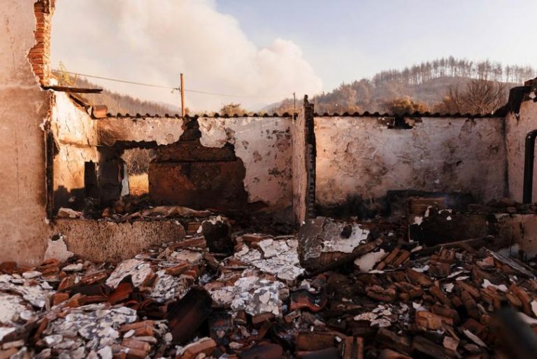 Greece orders investigation into fires and deaths of migrants in Evros