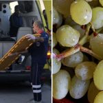 3-year-old dies after choking on a grape Tinos