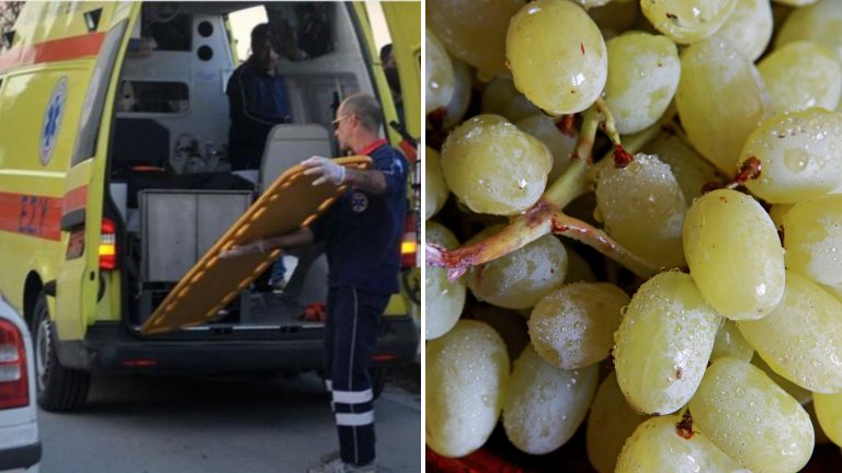 Toddler dies from grape-choking incident on Tinos