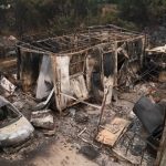 bodies found in evros wildfires