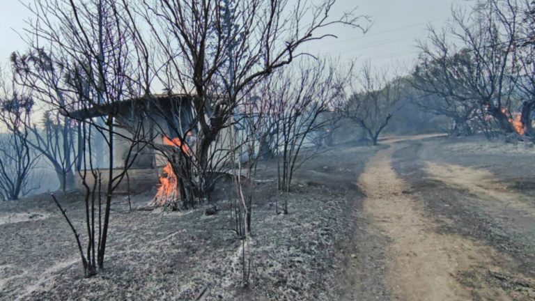 20 dead as fires in Greece continue to burn out of control