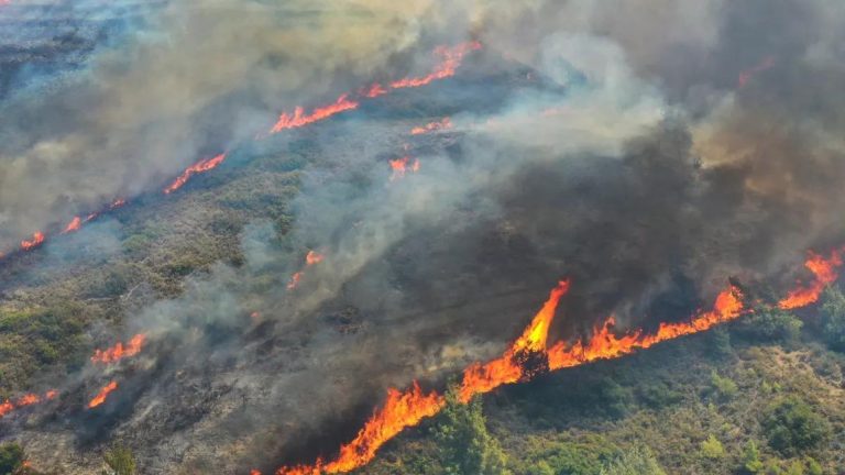 Greece battles wildfires for 16th day in Evros