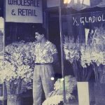 waratah florist